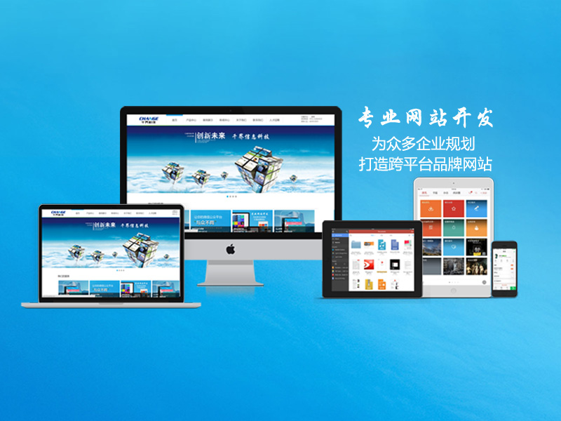 拥抱数字化:探索专业网站开发公司的价值