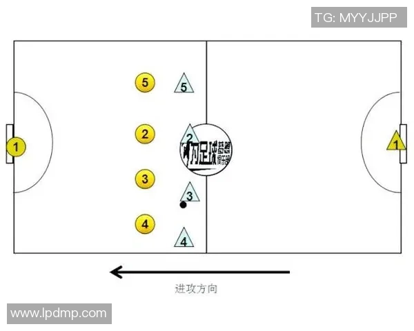北京排球队的速度之美：探索排球运动中的快速反应与战术配合